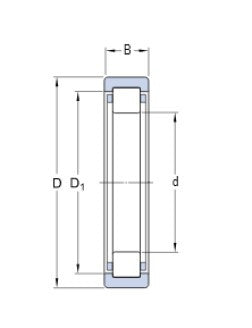 SKF RNU 206 ECP Roller Bearing